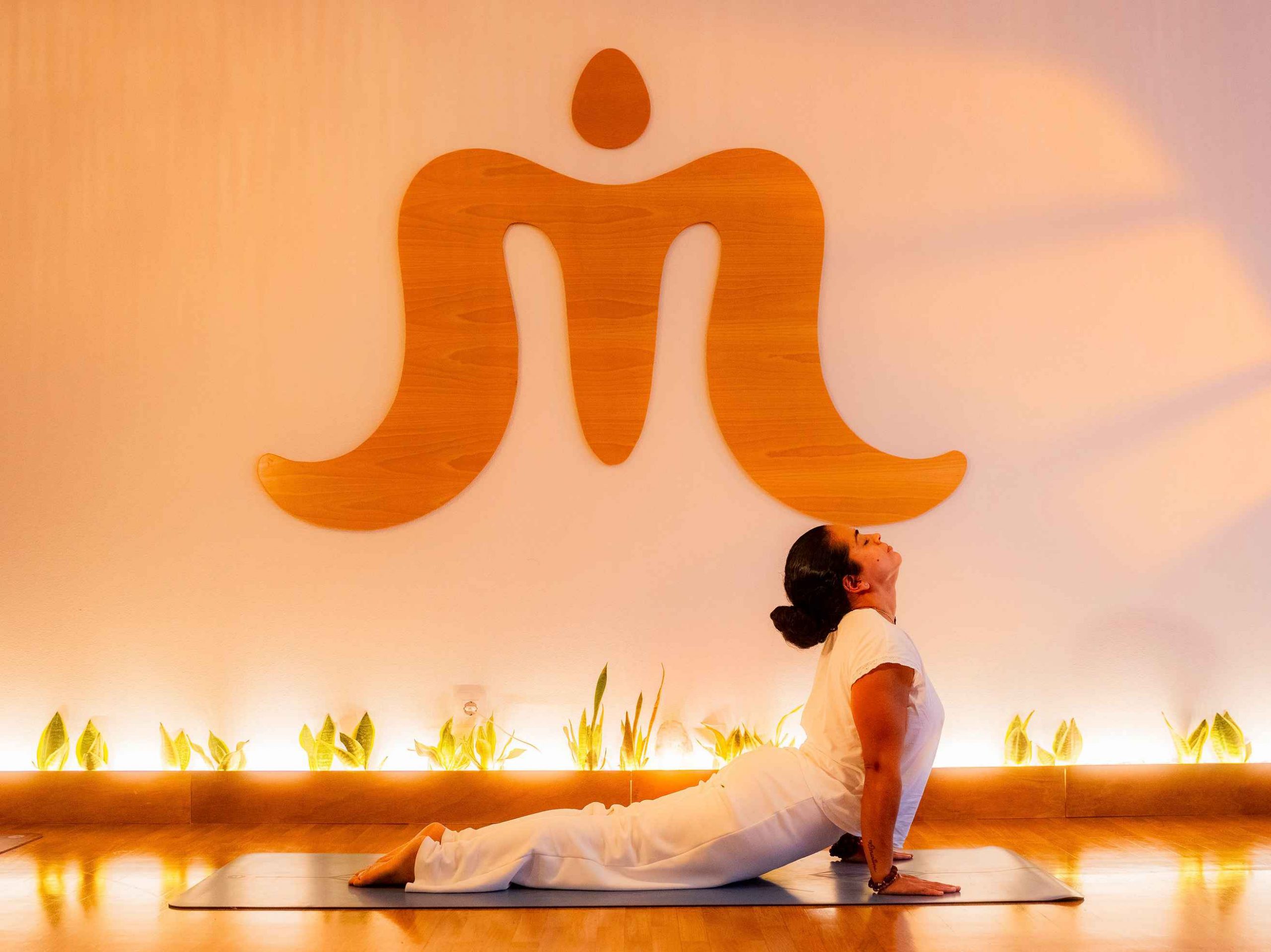 Vinyasa Yoga